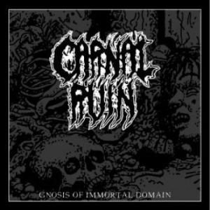 Carnal Ruin - Gnosis Of Immortal Domain (Vinyl) i gruppen VINYL / Hårdrock hos Bengans Skivbutik AB (3780748)