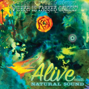Various Artists - Where Is Parker Griggs? i gruppen VINYL / Pop-Rock hos Bengans Skivbutik AB (3782400)