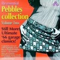Various Artists - Essential Pebbles Vol. 2 i gruppen CD / Pop-Rock hos Bengans Skivbutik AB (3782640)