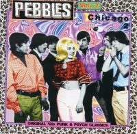 Various Artists - Pebbles Vol. 7: Chicago 2 i gruppen CD / Pop-Rock hos Bengans Skivbutik AB (3782647)