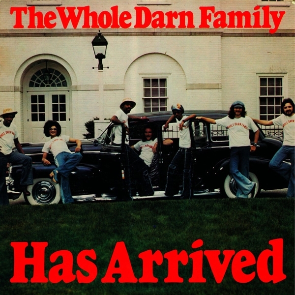 Whole Darn Family - Has Arrived i gruppen VINYL / RNB, Disco & Soul hos Bengans Skivbutik AB (3782955)