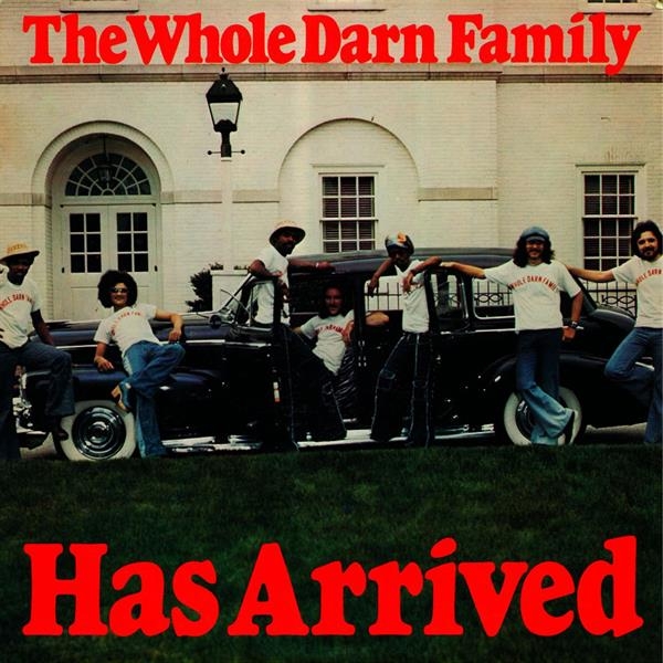 Whole Darn Family - Has Arrived i gruppen VINYL / Toppsäljare hos Bengans Skivbutik AB (3782955)