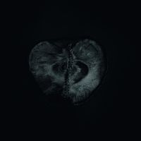 Sektori Sadon & Treha - Symphony Of Dying i gruppen CD / Pop-Rock hos Bengans Skivbutik AB (3783095)