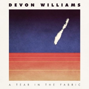 Williams Devon - A Tear In The Fabric i gruppen VINYL / Pop-Rock hos Bengans Skivbutik AB (3783683)