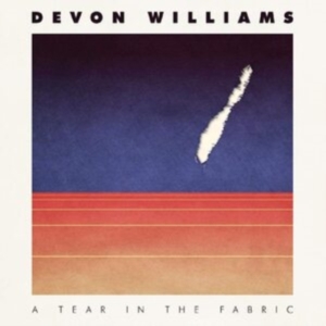 Williams Devon - A Tear In The Fabric i gruppen VINYL / Pop-Rock hos Bengans Skivbutik AB (3783683)
