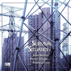 Sabir Mateen Patrick Holmes Federic - Survival Situation i gruppen VINYL / Pop-Rock hos Bengans Skivbutik AB (3788054)