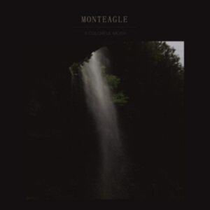 Monteagle - A Colorful Moth i gruppen VINYL / Pop-Rock,Svensk Folkmusik,World Music hos Bengans Skivbutik AB (3788058)