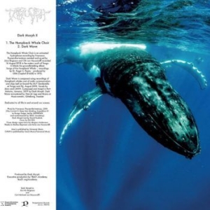 Dark Morph - Dark Morph Ii i gruppen VINYL / Pop-Rock hos Bengans Skivbutik AB (3788068)