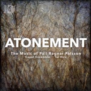 Palsson Pall Ragnar - Atonement - The Music Of Pall Ragna i gruppen Externt_Lager / Naxoslager hos Bengans Skivbutik AB (3788210)