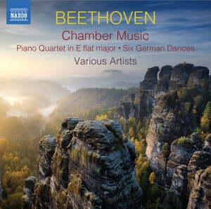Beethoven Ludwig Van - Chamber Music (2Cd) i gruppen Externt_Lager / Naxoslager hos Bengans Skivbutik AB (3788261)