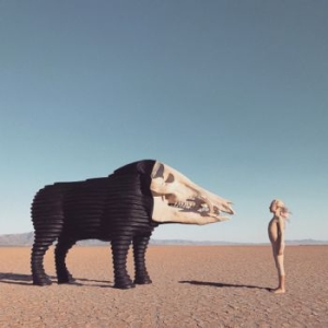 Man Man - Dream Hunting In The Valley Of The i gruppen VINYL / Rock hos Bengans Skivbutik AB (3789106)