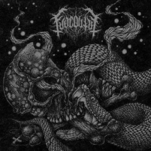 Fuoco Fatuo - Viper Slithers In The Ashes Of What i gruppen VINYL / Hårdrock/ Heavy metal hos Bengans Skivbutik AB (3789122)