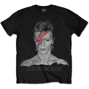 David Bowie - David Bowie Unisex Tee: Aladdin Sane i gruppen Minishops / David Bowie / David Bowie Merch hos Bengans Skivbutik AB (3795849)