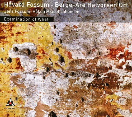 Fossum Håvard/Halvorsen Börge Are Q - Ex i gruppen CD / Jazz/Blues hos Bengans Skivbutik AB (3798972)