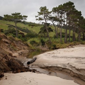 Clora - Till Doro i gruppen VINYL / Pop-Rock hos Bengans Skivbutik AB (3803562)