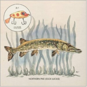 Lowe Nick - Lay It On Me i gruppen VINYL / Pop-Rock hos Bengans Skivbutik AB (3805423)