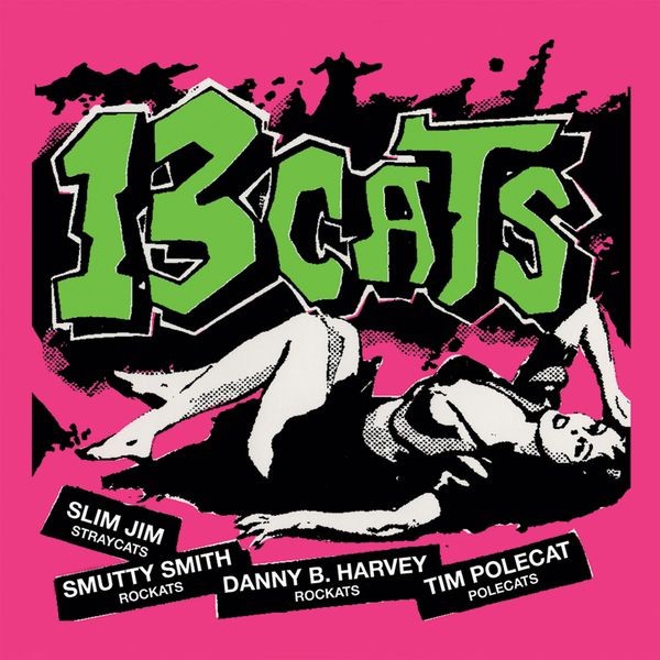 13 Cats - 13 Tracks i gruppen ÖVRIGT / Övrigt / aub hos Bengans Skivbutik AB (3805444)