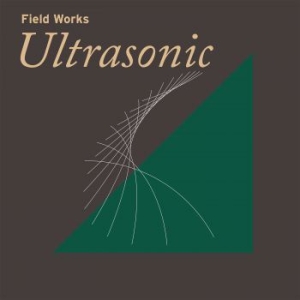 Blandade Artister - Field Works: Ultrasonic i gruppen VINYL / Dans/Techno hos Bengans Skivbutik AB (3806358)