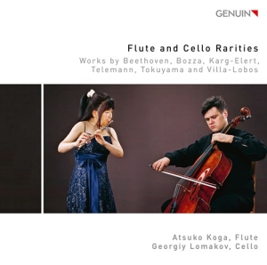 Various - Flute & Cello Rarities - Works By B i gruppen Externt_Lager / Naxoslager hos Bengans Skivbutik AB (3808035)