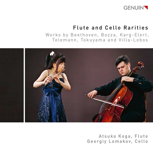 Various - Flute & Cello Rarities - Works By B i gruppen CD / Toppsäljare hos Bengans Skivbutik AB (3808035)