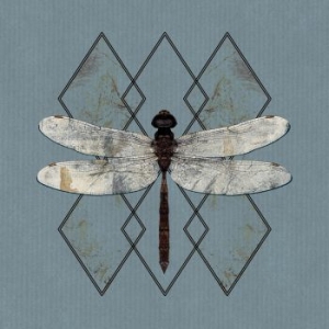 Ohhms - Close i gruppen CD / Pop-Rock hos Bengans Skivbutik AB (3808119)