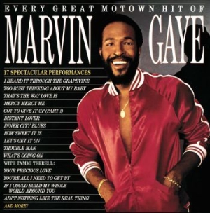 Marvin Gaye - Every Great Motown Hit (Vinyl) i gruppen VINYL / Pop hos Bengans Skivbutik AB (3808159)