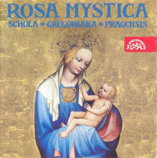 Various - Rosa Mystica: Devotion To The Virgi i gruppen CD / Toppsäljare hos Bengans Skivbutik AB (3812908)