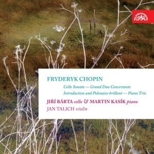 Chopin Frédéric - Complete Works For Cello Piano Tri i gruppen Externt_Lager / Naxoslager hos Bengans Skivbutik AB (3813973)