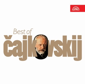 Tchaikovsky Pyotr Ilyich - Best Of Tchaikovsky i gruppen Externt_Lager / Naxoslager hos Bengans Skivbutik AB (3814034)