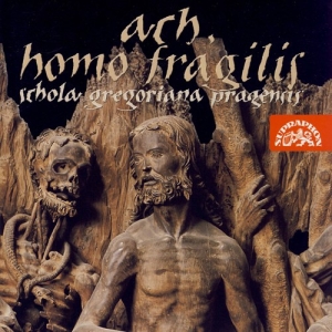 Various - Ach, Homo Fragilis i gruppen Externt_Lager / Naxoslager hos Bengans Skivbutik AB (3815215)