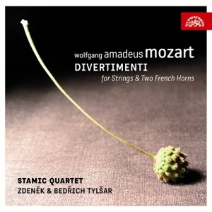 Mozart W A - Divertimenti For Strings & Two Fren i gruppen Externt_Lager / Naxoslager hos Bengans Skivbutik AB (3816033)