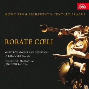 Various - Rorate Coeli. Music For Advent And i gruppen Externt_Lager / Naxoslager hos Bengans Skivbutik AB (3816038)
