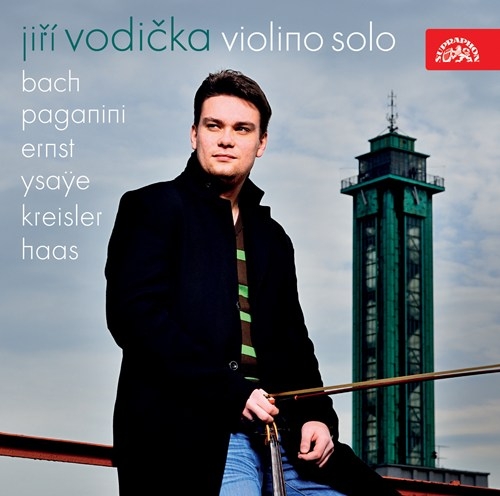 Various - Violino Solo i gruppen Externt_Lager / Naxoslager hos Bengans Skivbutik AB (3816696)