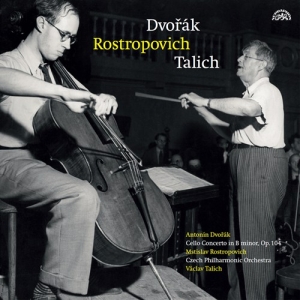 Dvorák Antonín - Cello Concerto In B Minor (Lp) i gruppen Externt_Lager / Naxoslager hos Bengans Skivbutik AB (3816728)