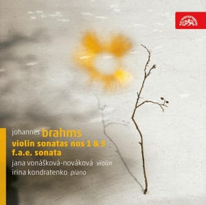 Brahms Johannes - Violin Sonatas i gruppen Externt_Lager / Naxoslager hos Bengans Skivbutik AB (3816750)