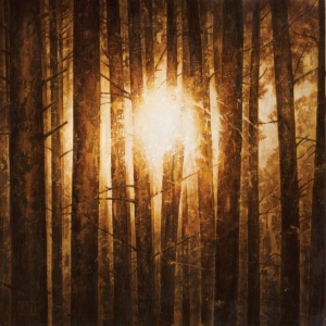 In Mourning - Echoes (3Lp Boxset Splatter) i gruppen VINYL / Hårdrock,Svensk Musik hos Bengans Skivbutik AB (3818825)