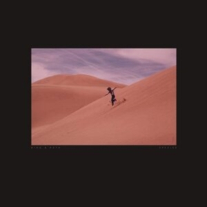 Bing & Ruth - Species i gruppen CD / Pop-Rock hos Bengans Skivbutik AB (3819062)