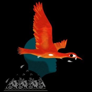 Meimuna - Bestiaire Ii i gruppen VINYL / Pop-Rock hos Bengans Skivbutik AB (3820365)