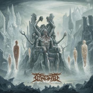 Ingested - Where Only Gods May Tread (Box) i gruppen CD / Hårdrock hos Bengans Skivbutik AB (3820400)