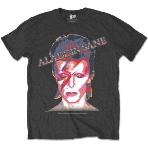 David Bowie - David Bowie Unisex Tee: Aladdin Sane i gruppen MERCH / Test-Tshirts hos Bengans Skivbutik AB (3826306r)