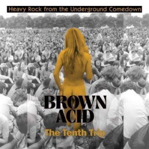 V/A - Brown Acid: The Tenth Trip - Brown Acid: The Tenth Trip (Lila Vi i gruppen VINYL / Hårdrock/ Heavy metal hos Bengans Skivbutik AB (3829146)