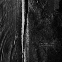 Coma Lilies The - Memento Mori i gruppen VINYL / Pop-Rock hos Bengans Skivbutik AB (3829416)