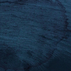 Multicast Dynamics - Aquatic System i gruppen ÖVRIGT / Övrigt / aub hos Bengans Skivbutik AB (3829687)