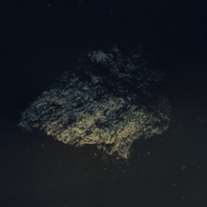 Multicast Dynamics - Lost World i gruppen ÖVRIGT / Övrigt / aub hos Bengans Skivbutik AB (3829748)