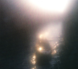 Ensemble Economique - Blossoms In Red i gruppen CD / Pop-Rock hos Bengans Skivbutik AB (3830286)