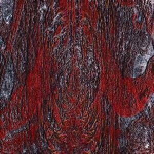 Asfast - Prime Same i gruppen ÖVRIGT / Övrigt / aub hos Bengans Skivbutik AB (3830350)