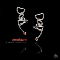 Perelman Ivo & Matthew Shipp - Amalgam i gruppen CD / Jazz hos Bengans Skivbutik AB (3833055)