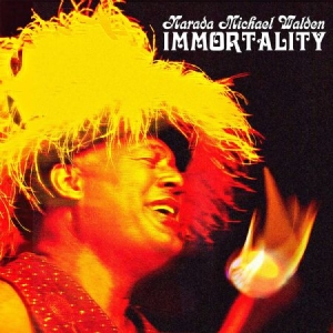 Walden Narada Michael - Immortality i gruppen CD / Jazz hos Bengans Skivbutik AB (3833117)