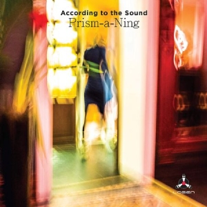 According To The Sound - Prism A Ning i gruppen CD / Jazz hos Bengans Skivbutik AB (3835036)