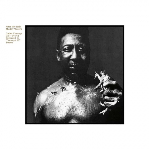 Muddy Waters - After the Rain i gruppen VINYL / Jazz hos Bengans Skivbutik AB (3837081)